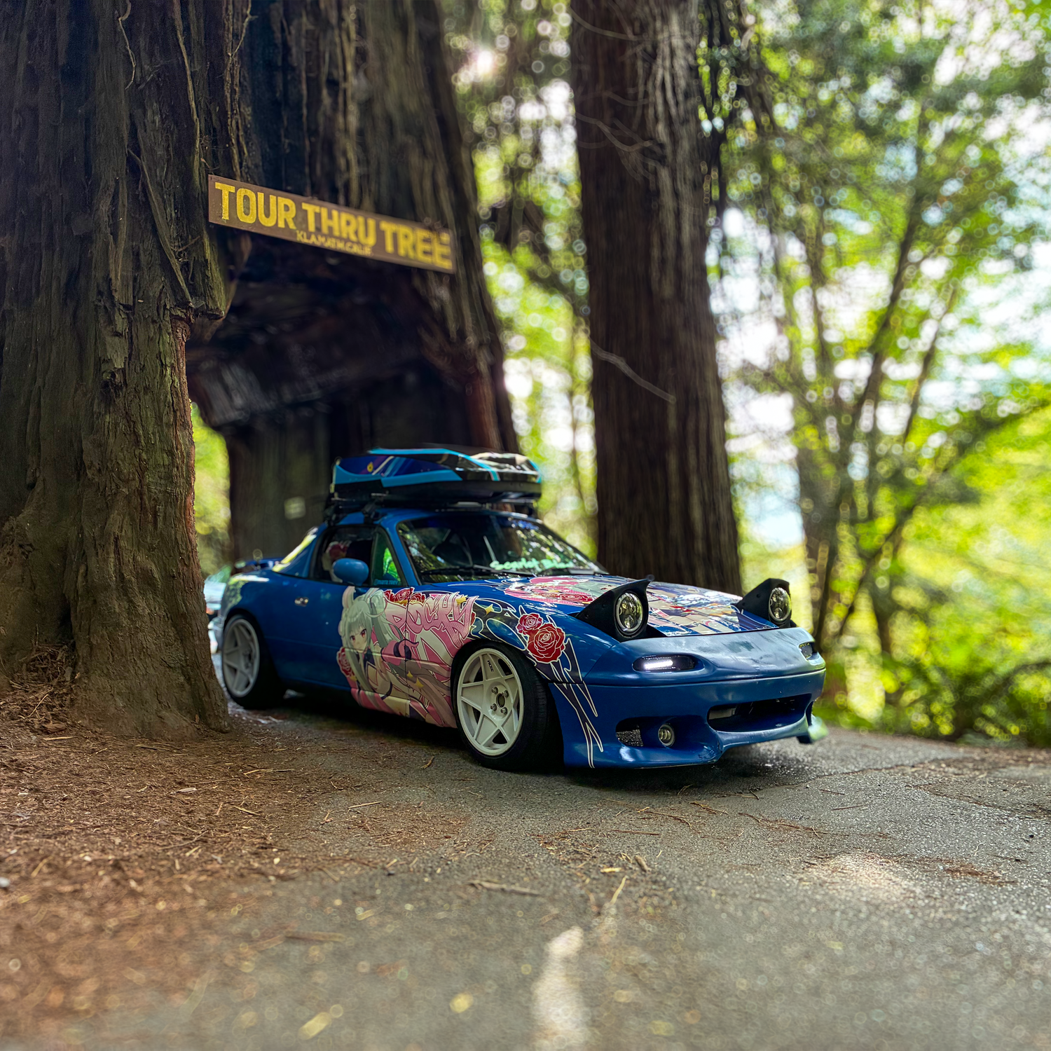 miata.trev
